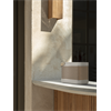Bang & Olufsen Beolit 20
