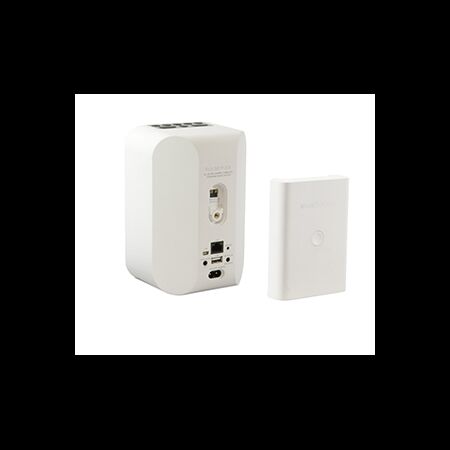 BlueSound Batteriepack BP100