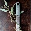 Microplane 46727E Premium Zester Reibe eukalyptus grün