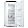 Siemens GS51NEWCV Gefrierschrank topteam