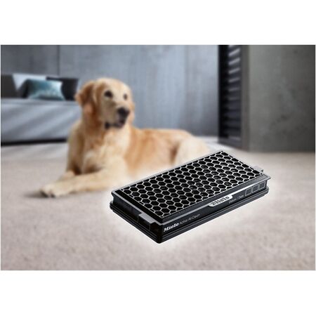 Miele Cat & Dog XL-Pack, Typ GN