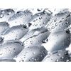 Miele Vollwaschmittel Ultra White 2,7kg