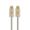 Bang & Olufsen Beoplay H100
