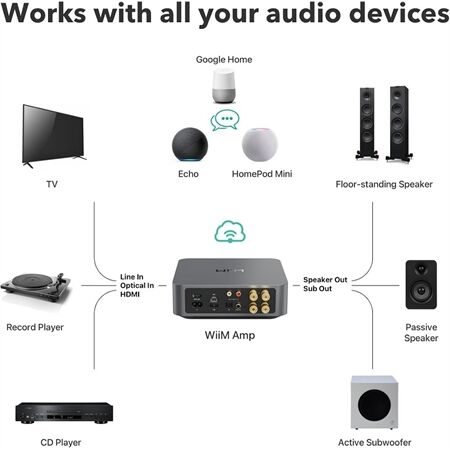 WiiM Amp