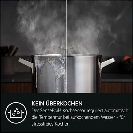 AEG TI64IB1BIZ Saphirmatt Induktionskochfeld 60 cm