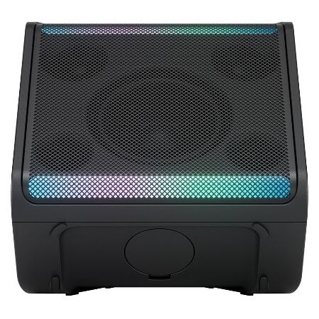 LG Stage 301