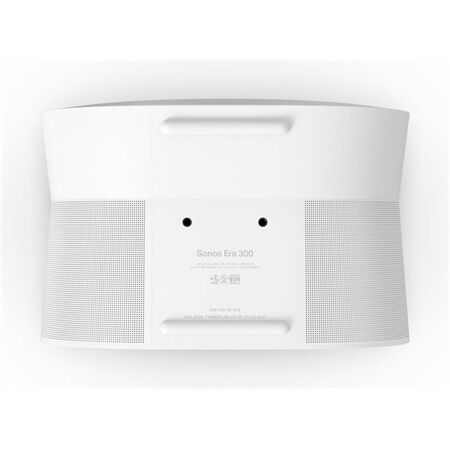 Sonos Era 300