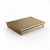 Bang & Olufsen Beosound Level AL2