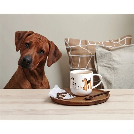 ASA Selection 19445014 Henkelbecher Basset Hound