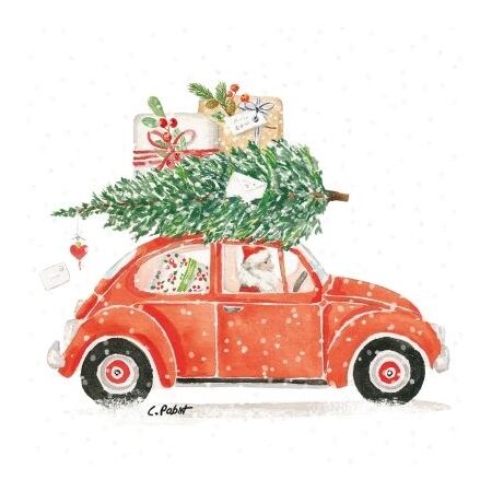 ppd Christmas Delivery Napkin 33x33