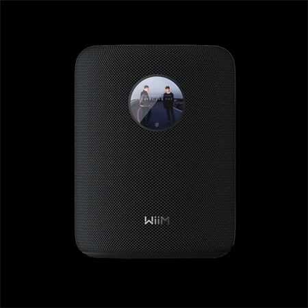 WiiM SOUND