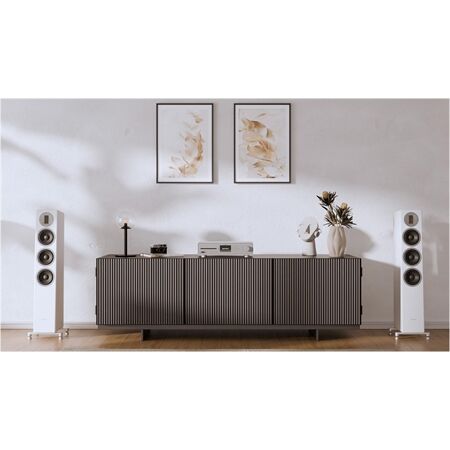 Sonoro Orchestra Shaped Signature /Stück