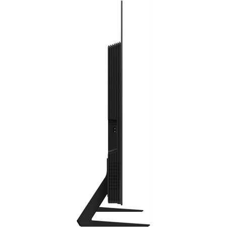 Samsung GQ 42 S 93 FAE (2025)