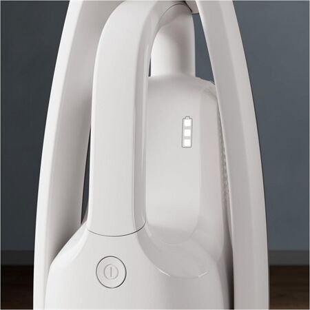 AEG AS52H212XN Akkusauger EINZELSTÜCK