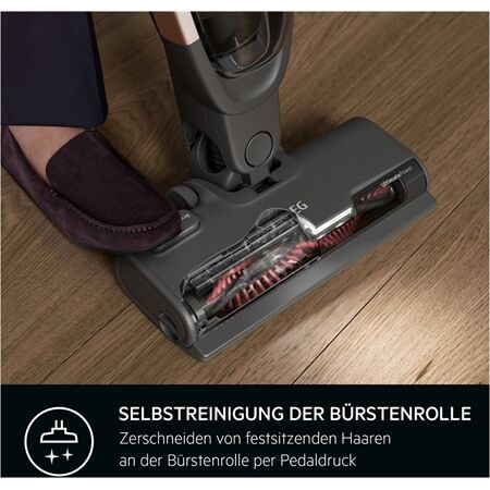 AEG AS52H212XN Akkusauger EINZELSTÜCK