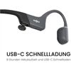 SHOKZ OpenRun USB-C