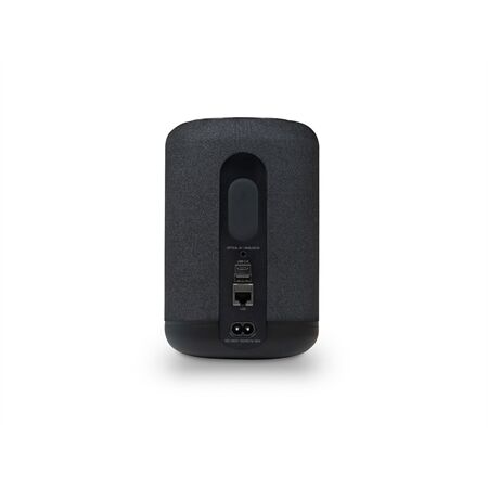 BlueSound Pulse Flex P130