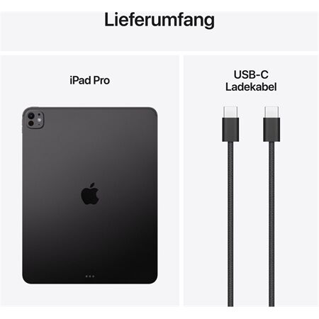 Apple iPad Pro 13" (256GB) WiFi M5