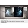 Samsung GQ 65 S 95 FAT (2025)