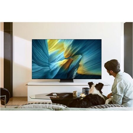 Samsung GQ 77 S 95 FAT (2025)