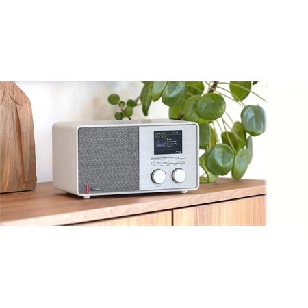 Pinell Supersound 301