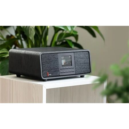 Pinell Supersound 501