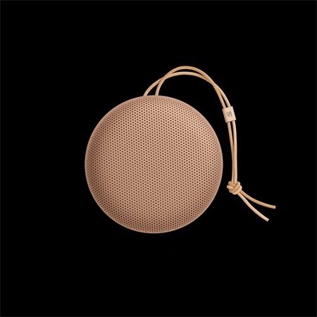 Bang & Olufsen BeoSound A1 3nd Gen