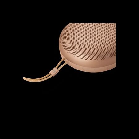 Bang & Olufsen BeoSound A1 3nd Gen
