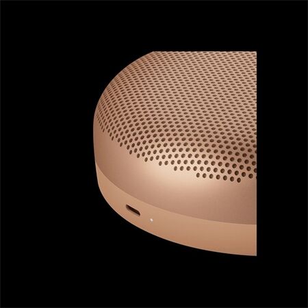 Bang & Olufsen BeoSound A1 3nd Gen