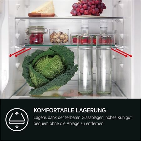AEG TSK5O881DF Einbau-Kühlschrank 88cm
