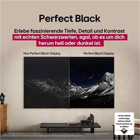 LG OLED 83 G58 LW "Einzelstück"