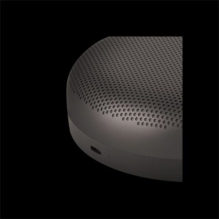 Bang & Olufsen BeoSound A1 3nd Gen
