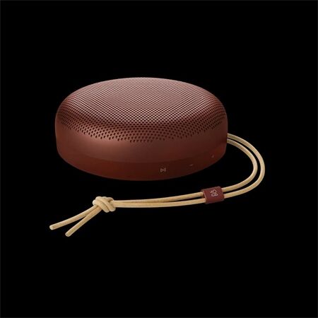 Bang & Olufsen BeoSound A1 3nd Gen