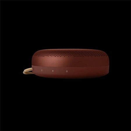 Bang & Olufsen BeoSound A1 3nd Gen