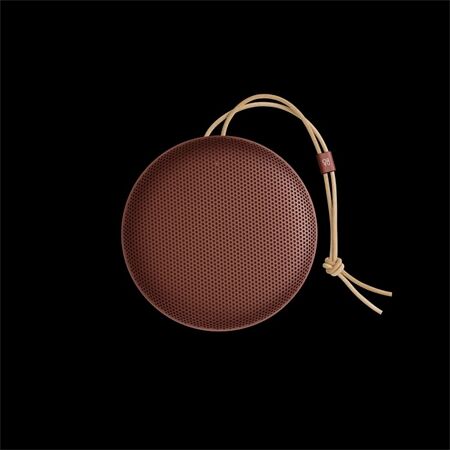 Bang & Olufsen BeoSound A1 3nd Gen
