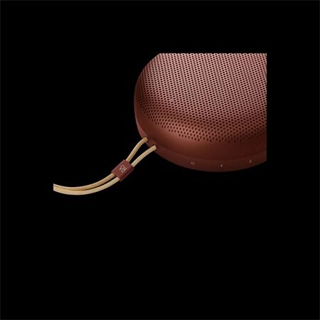 Bang & Olufsen BeoSound A1 3nd Gen