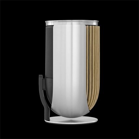 Bang & Olufsen BeoLab 8 Alu / Oak / Tischfuß Paarpreis