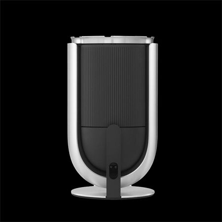 Bang & Olufsen BeoLab 8 Alu / Oak / Tischfuß Paarpreis