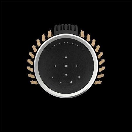 Bang & Olufsen Beolab 28 Alu / Oak / Paarpreis