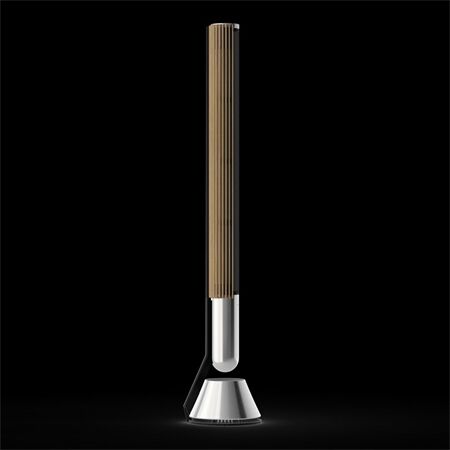 Bang & Olufsen Beolab 28 Alu / Oak / Paarpreis