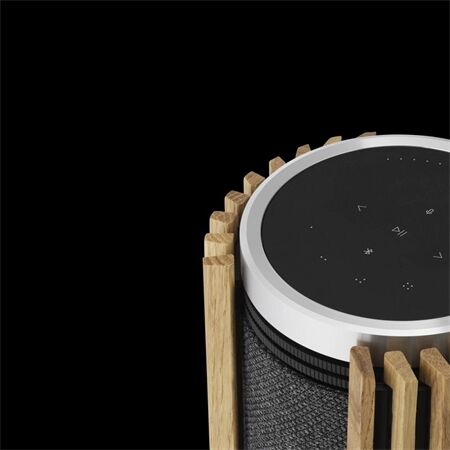 Bang & Olufsen Beolab 28 Alu / Oak / Paarpreis