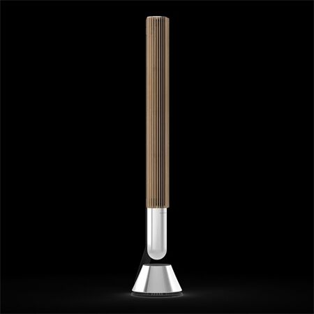 Bang & Olufsen Beolab 28 Alu / Oak / Paarpreis