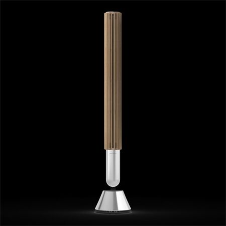 Bang & Olufsen Beolab 28 Alu / Oak / Paarpreis