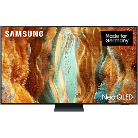 Samsung GQ 65 QN 73 FAT Einzelstück