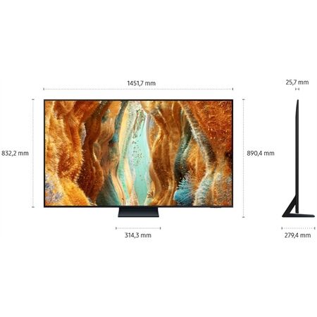Samsung GQ 65 QN 73 FAT Einzelstück