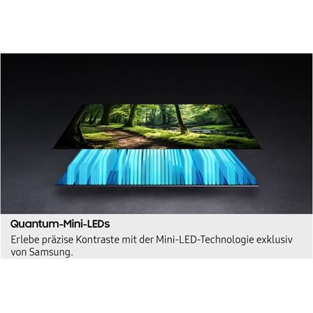 Samsung GQ 65 QN 73 FAT Einzelstück