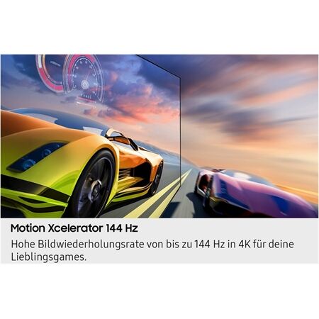 Samsung GQ 65 QN 73 FAT Einzelstück