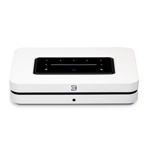 BlueSound Node N130