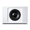 BlueSound Pulse Sub+