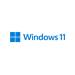 Windows 11